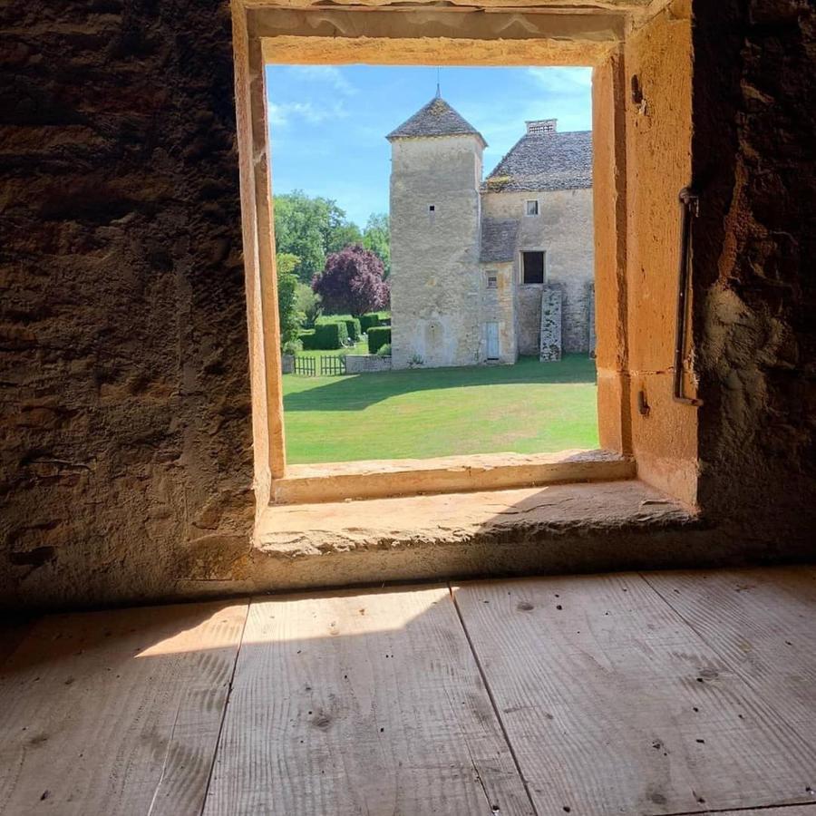 Chateau D'Ozenay Экстерьер фото